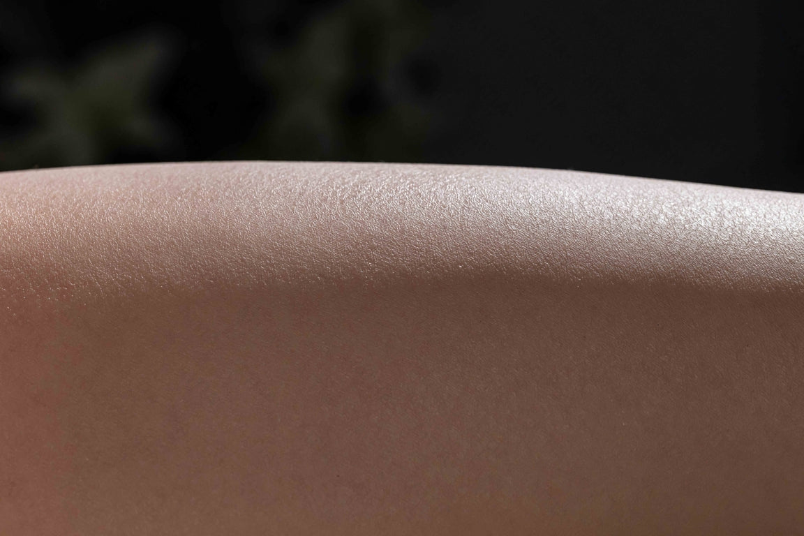 Yulania sexdukke (AITIA dukke 163 cm E-cup 2.2 Silikon)