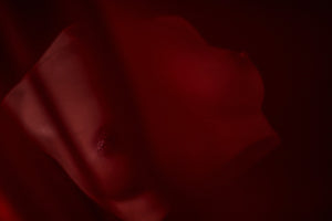 Breasts (s) torso Sex doll (Climax Doll PRO B-cup silicone)