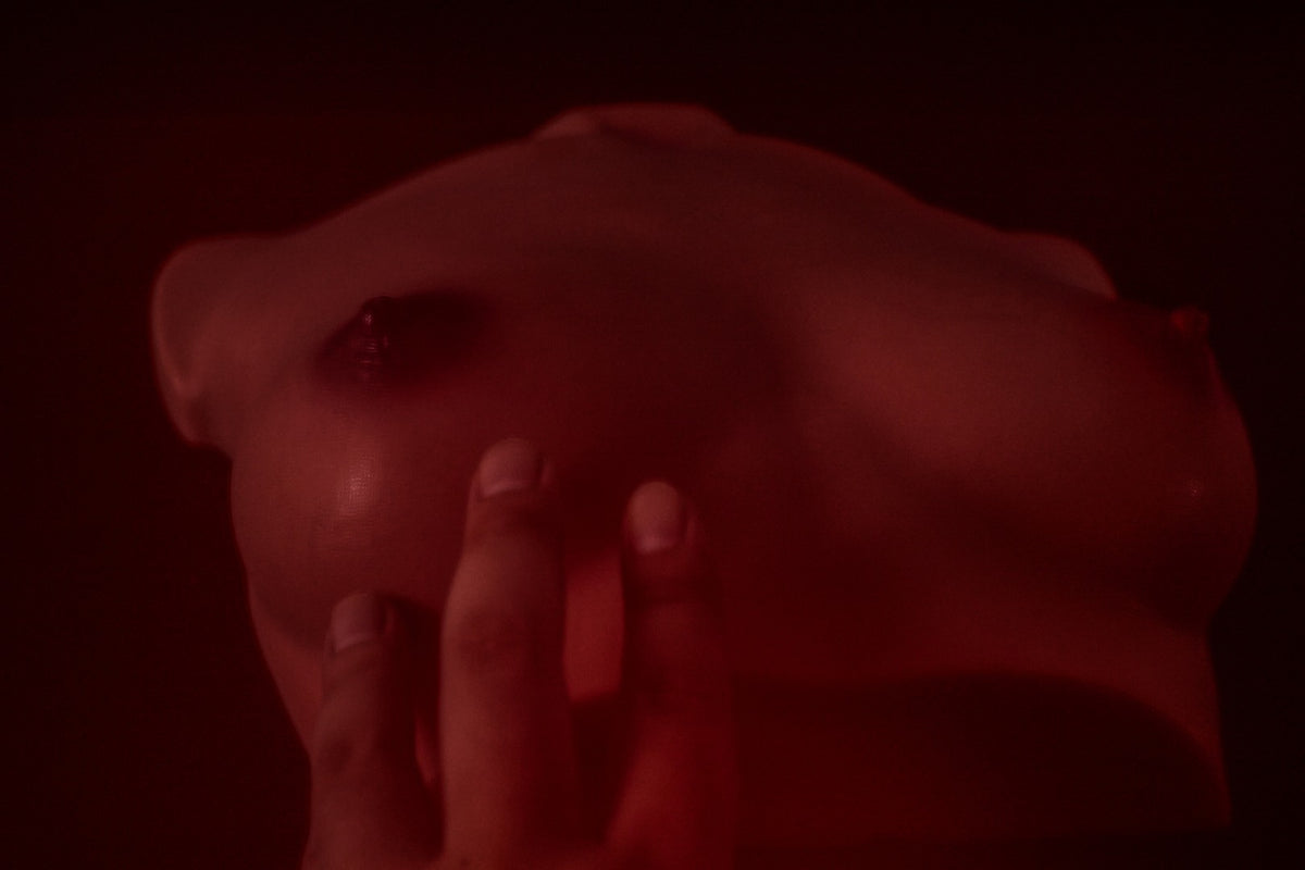 Chest (S) Torso Sex doll (Climax Doll Pro B-cup silicone)