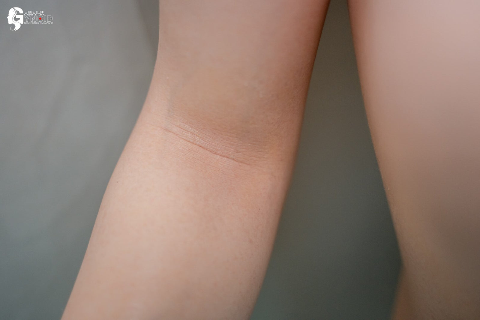 sexdukke Leyla Model 19R Deluxe (Gynoid Doll 168 cm F-cup silikon)