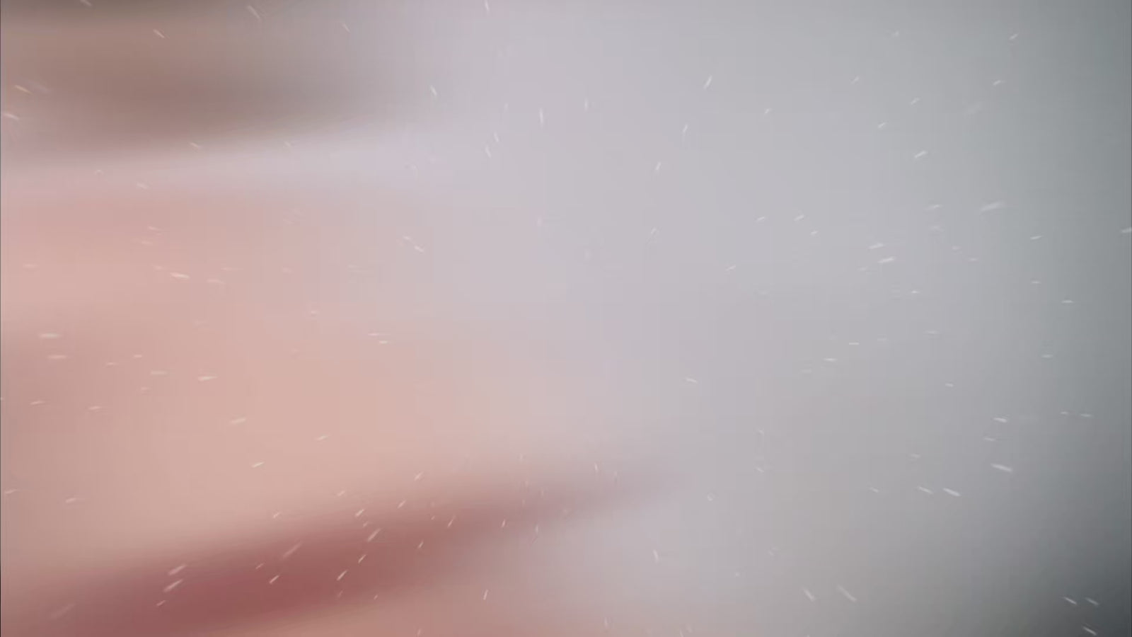 Wanda Shemale Sex doll (Dolls Castle 178cm P-cup #S7 silicone)