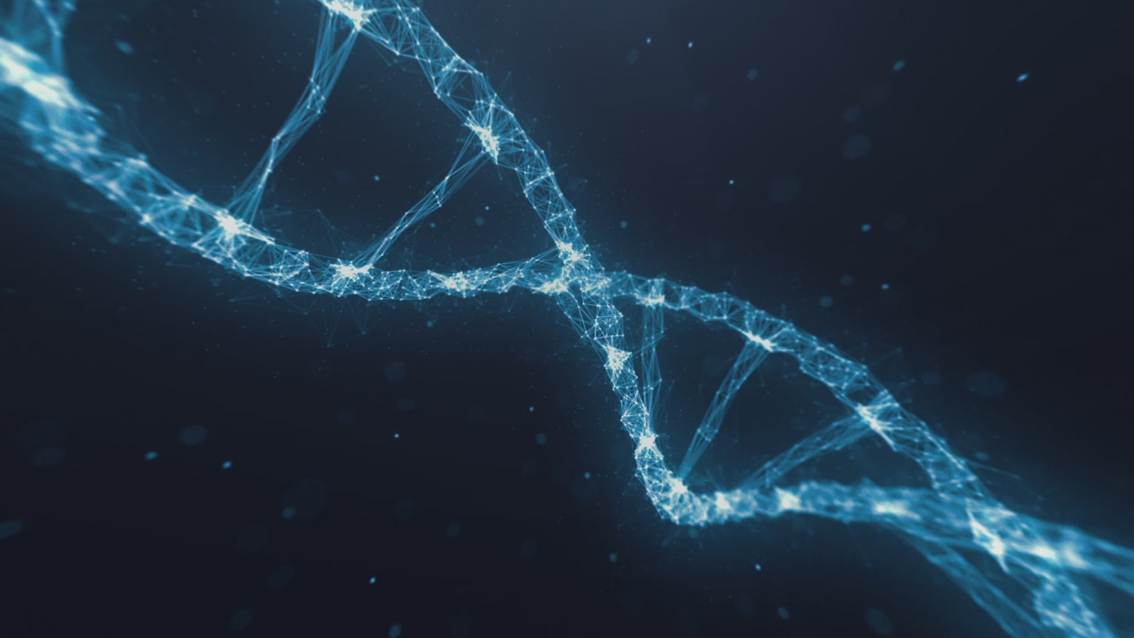 Lydia sexdukke (XT Doll 150 cm D-cup #XT-bym13 silikon)