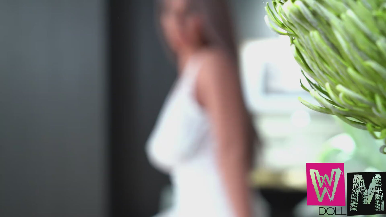 Lola sexdukke (WM-Doll 165 cm D-cup #SS111 TPE+Silicon)