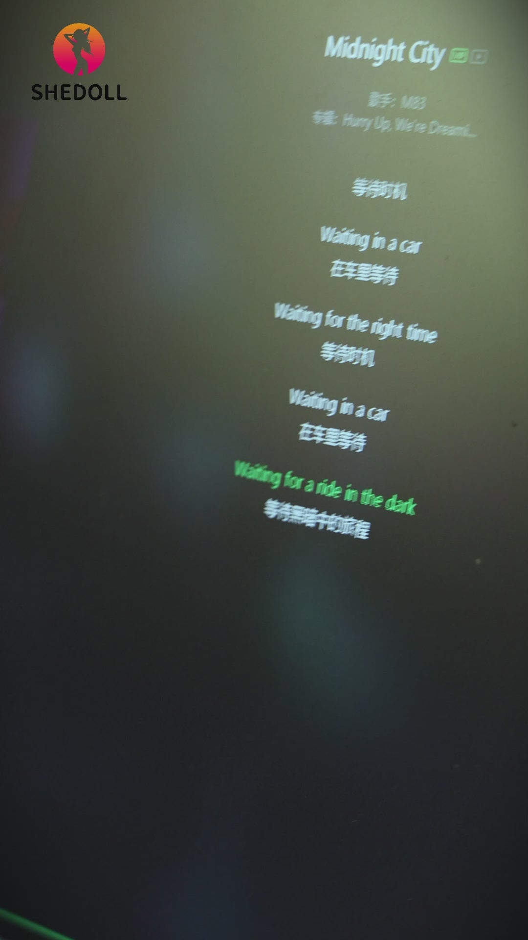 Kosame sexdukke (SHEDOLL 170 cm E-cup #SH146 2.0 TPE+silikon)