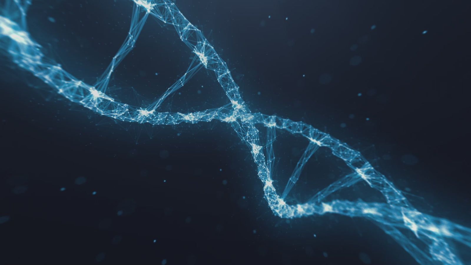 Ophelia sexdukke (XT Doll 162 cm G-cup #XT-28-B silikon)